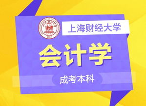 上海成考擇校指南 名校聚集，專(zhuān)業(yè)齊全，助力職場(chǎng)人輕松提升學(xué)歷