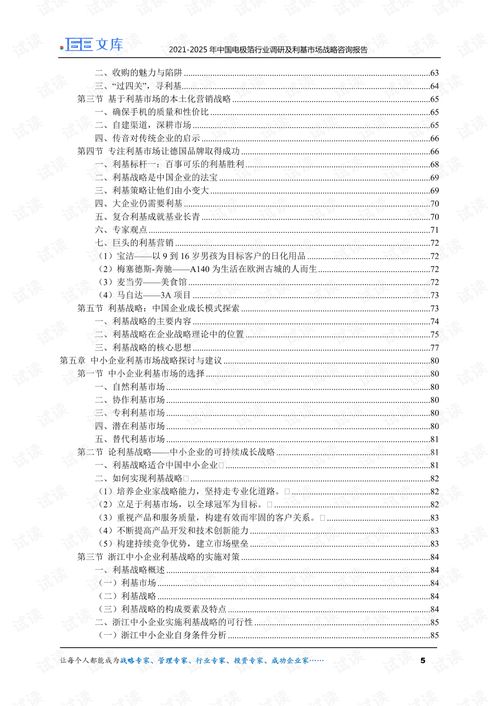 2021-2025年中國(guó)電極箔行業(yè)深度調(diào)研與利基市場(chǎng)戰(zhàn)略咨詢報(bào)告